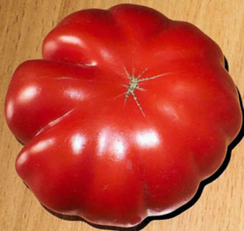 Семена томатов. 330 сортов. 2