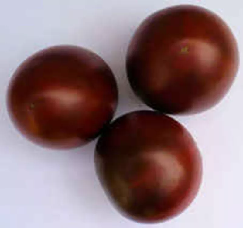 Семена томатов. 330 сортов. 5